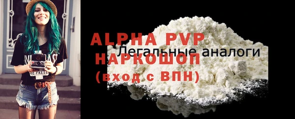 spice Богородицк