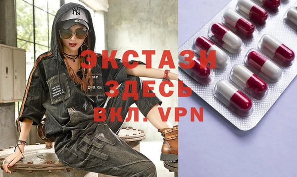 spice Богородицк