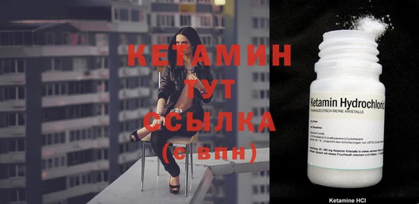 spice Богородицк