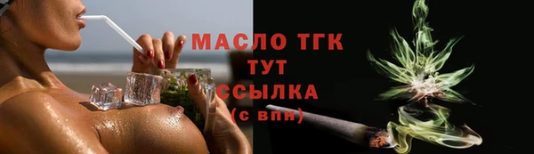 spice Богородицк