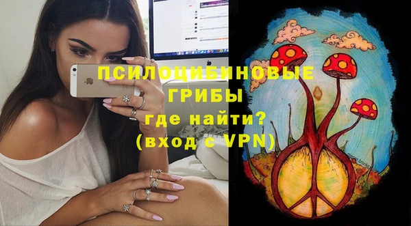 мескалин Богданович