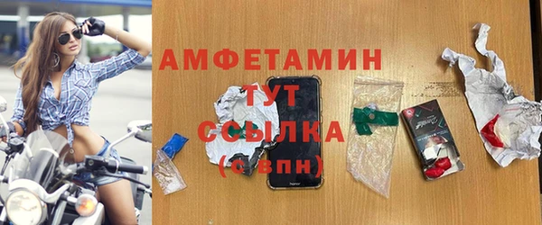 spice Богородицк