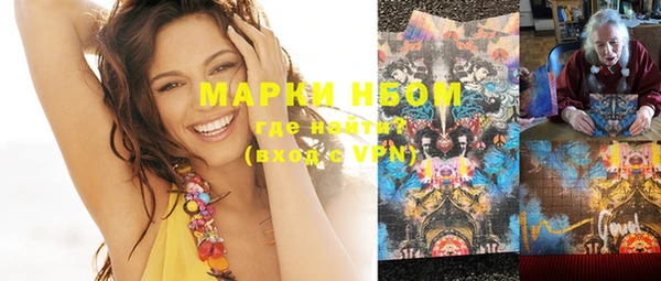 spice Богородицк