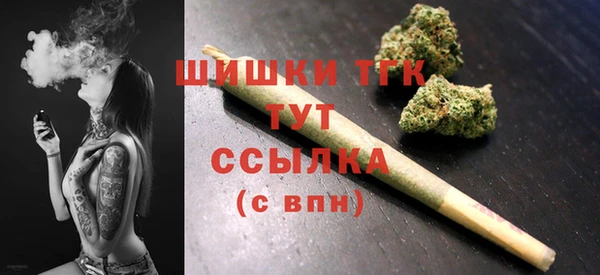 spice Богородицк