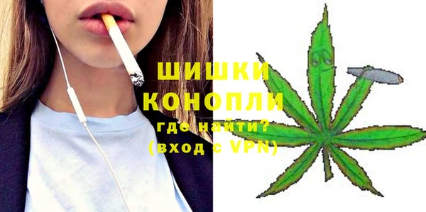 spice Богородицк